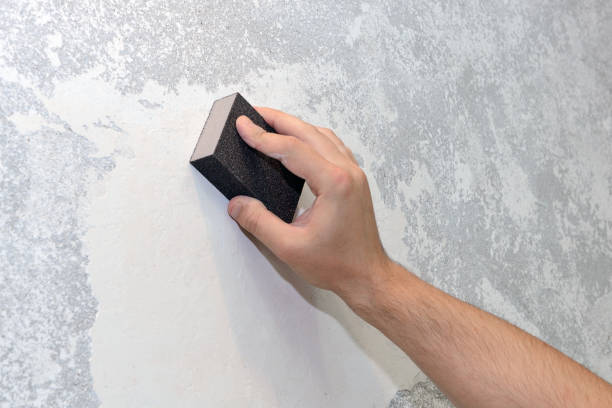 Best Mold Odor Removal Services  in Peotone, IL