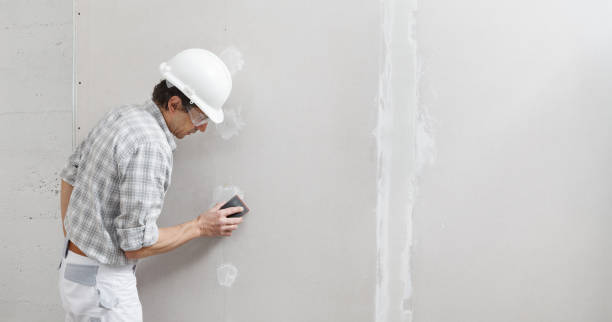 Best Emergency Mold Remediation  in Peotone, IL