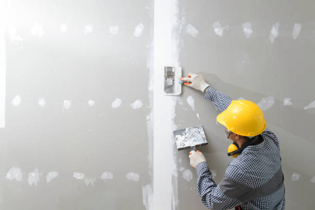 Best Mold Prevention Services  in Peotone, IL