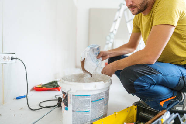 Best Real Estate Mold Inspection  in Peotone, IL
