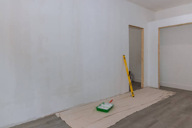 Best Post-Construction Mold Inspection  in Peotone, IL