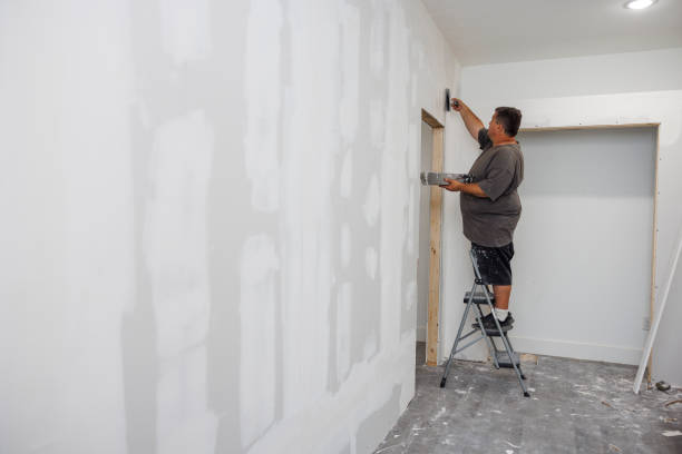 Best Environmental Consulting for Mold Prevention  in Peotone, IL