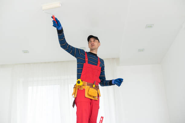 Best Dehumidification Services  in Peotone, IL