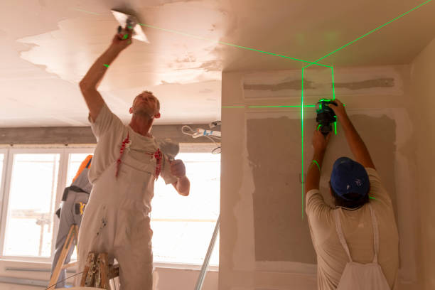 Best Mold Removal for HVAC Installations  in Peotone, IL